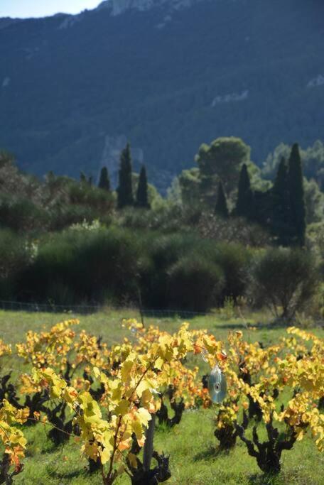 Villa Vilata A Padern Dans Les Corbieres Sauvages Bagian luar foto